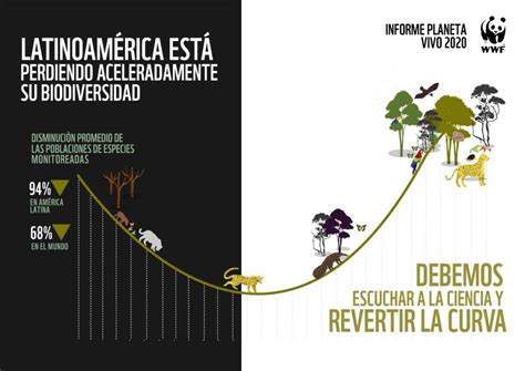 América Latina Lidera La Pérdida De Biodiversidad En El Mundo