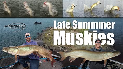 Late Summer Muskies YouTube