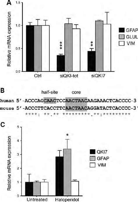 A Relative Mrna Expression Of Glial Fibrillary Acidic Protein