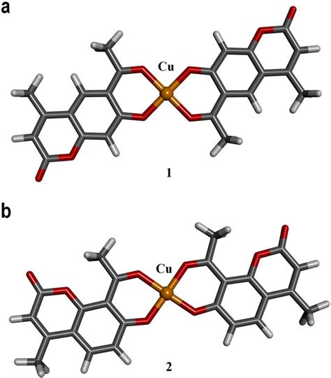 Dft Optimized Molecular Structures Of Complexes 1 Panel A And 2 Download Scientific Diagram