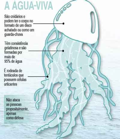 Gua Viva O Que Caracter Sticas Curiosidades Planeta Biologia