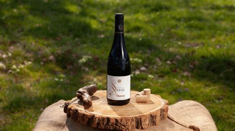 Le Gamay Un Tr Sor De Vin Fran Ais Ap Ritissimo D Cembre