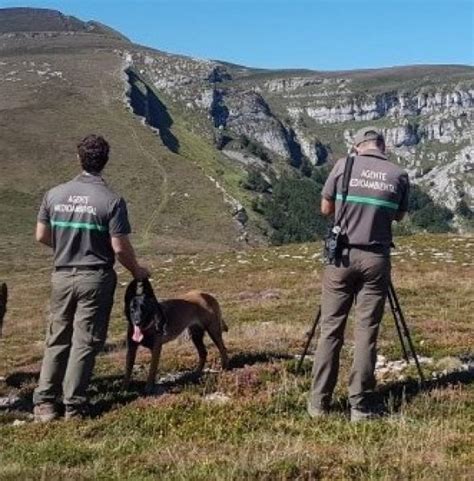 Csif Csif Reivindica La Jubilaci N Anticipada De Los Agentes