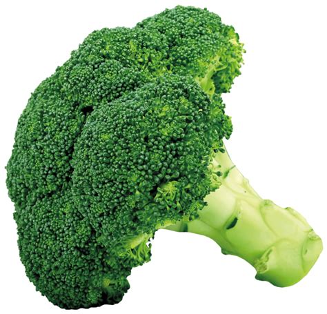 Broccoli Png Transparent Images Pictures Photos