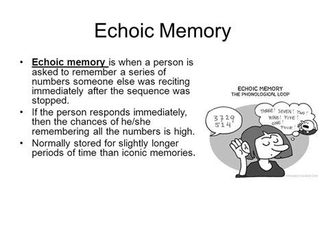 Echoic Memory Psychology Definition Example Slidesharetrick