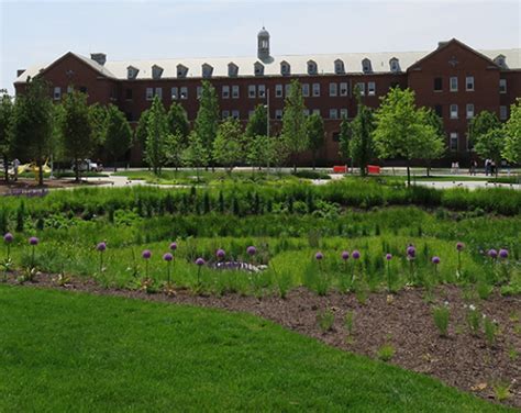 Rain Garden Soil - Laurel Valley Soils