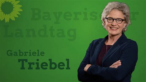 Schuljahr 2020 21 Grüne fordern verlässliche Vorgaben und transparente