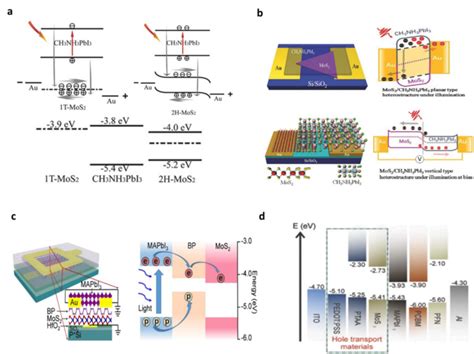 Perovskite Transition Metal Dichalcogenides H Eurekalert Cyou