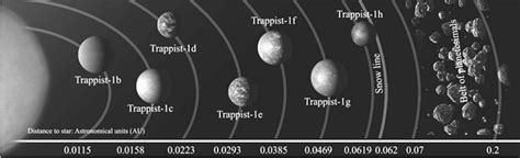 Water Transport Throughout The Trappist System The Role Of