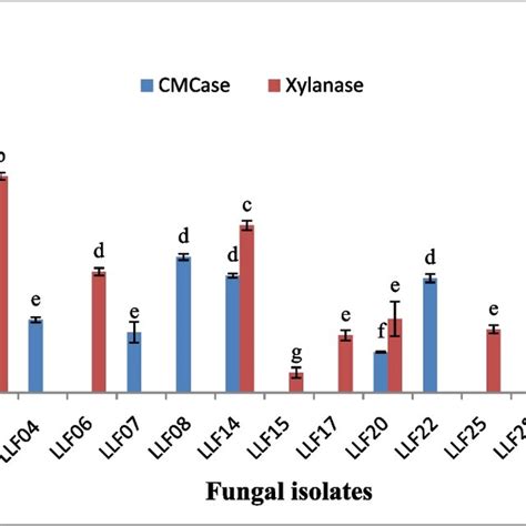 Efficient Cellulase And Hemicellulase Producing Fungal Isolates Based