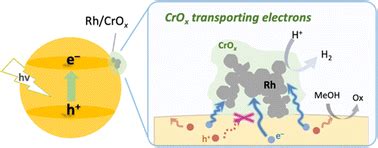 An Unexplored Role Of The Crox Shell In An Elaborated Rh Crox Core