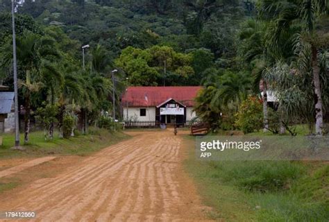 17 Guiana Amazonian Park Stock Photos, High-Res Pictures, and Images ...