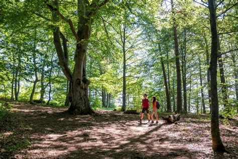 De Mooiste Wandelingen Plezierwandelingen Oostkantons Hot Sex Picture