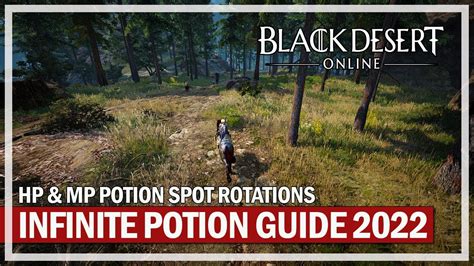 Black Desert Online Hp Mp Infinite Potions Grind Rotations