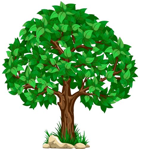 Hojas De Arbol Png Sin Fondo Arbol Hojas Arboles Png Pngegg Tilde Christensen