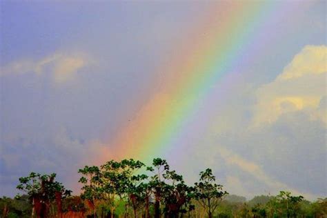 Rainbow Over The Amazon Rainforest At Cumaceba Picture Of Cumaceba