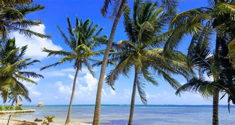 La Isla Bonita Ambergris Caye Belize