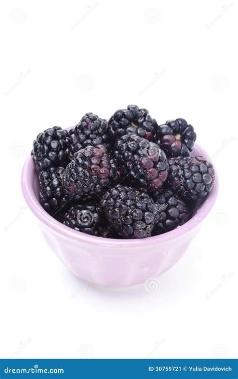 Bowl Of Fresh Blackberries Isolated On White Stock Image Image Of