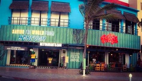 Senor Frogs Cozumel Restaurant Reviews Phone Number And Photos