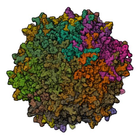 Rcsb Pdb Rk Cryo Em Structure Of Adeno Associated Virus Serotype