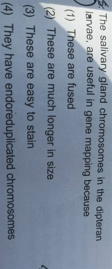 The salivary gland chromosomes in the dipteran larvae, are useful in gene..