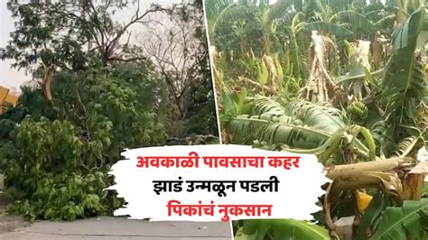 Maharashtra Weather Report Unseasonal Rain In Vidarbha Marathwada Heavy