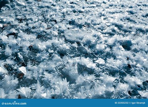 Icy Snowflakes Stock Photo Image Of Nature Surface 23355232