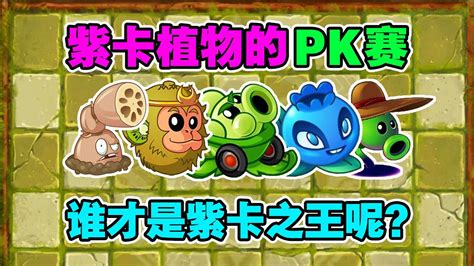 植物大战僵尸2：紫卡植物的pk赛，他们中谁是紫卡之王呢？ Youtube