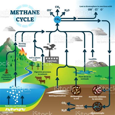 Diagram Siklus Metana Skema Ilustrasi Vektor Proses Polusi Global