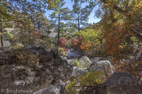 Devil’s Hall Trail 1610 | Guadalupe Mountains