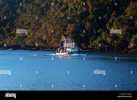 Mourilyan Harbour Moorings at Mildred Bruggeman blog