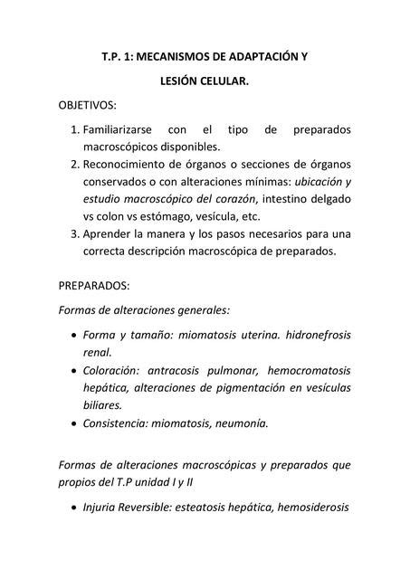 Mecanismos de Adaptación y Lesión Celular santiago ares uDocz