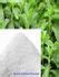 Bulk Stevia Extract Pure Powder Standardized 90 Steviol Glycosides