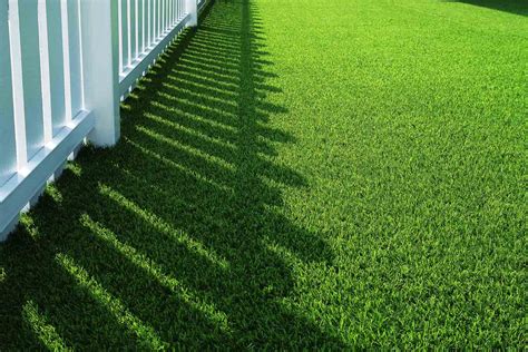 How Artificial Grass Has Changed – Artificial Grass development history ...