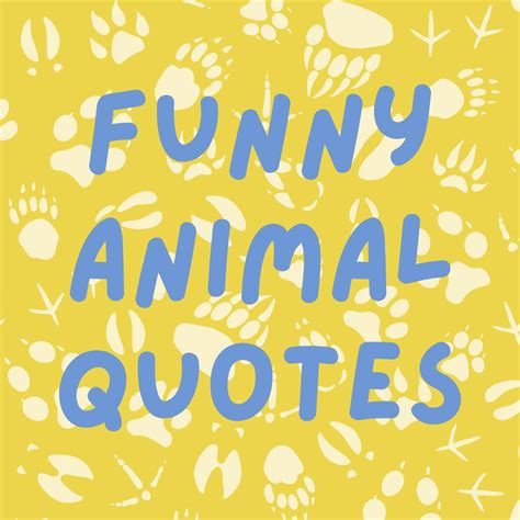 57 Hilariously Funny Animal Quotes for Your Favorite Pet - Darling Quote