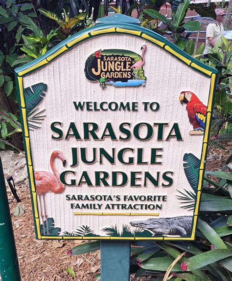 Sarasota Jungle Gardens — Lots Of Critters Here Including Alligators