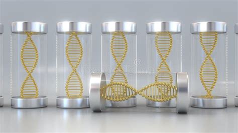 Tarros Del Laboratorio Con Los Modelos De La Mol Cula De La Dna Del Oro