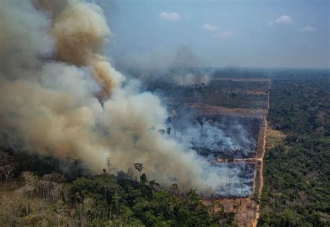 The Amazon Rainforest Is On Fire Climate Scientists Fear A Tipping