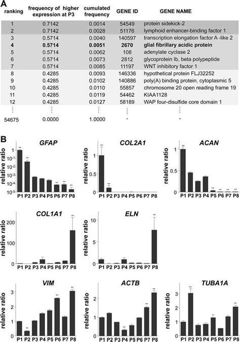 GFAP Gene Expression In Auricular Chondrocytes Decreased With Serial