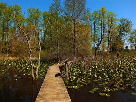 Patuxent River Park At Jug Bay 95 Photos And 13 Reviews Parks 16000