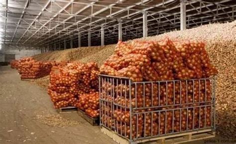 Maximum 10000 Ton Onion Cold Storage At 200000 In New Delhi ID