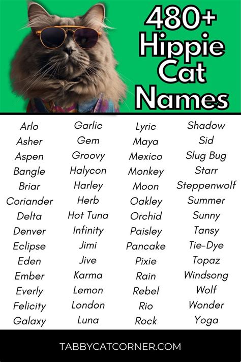 480 Hippie Cat Names Cat Names Tabby Cat Names Cute Cat Names