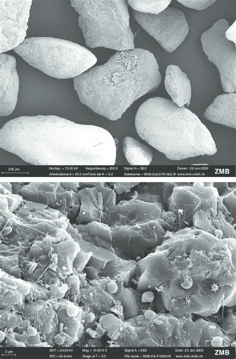 Scanning electron microscope (SEM) images of sand particles from a slow... | Download Scientific ...