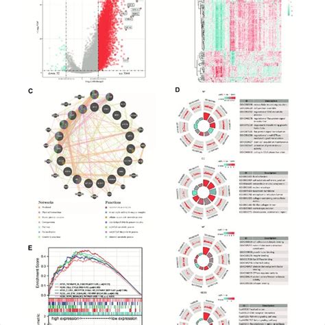 Degs And Functional Enrichment Analysis A Degs Volcano Plot Between Download Scientific