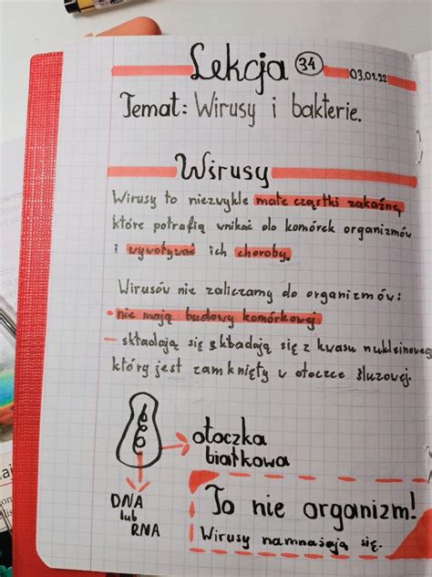 Moja Notatka Z Biologii Klasa Wirusy I Bakterie