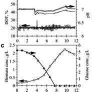 Typical Dissolved Oxygen Tension Dot Ph And Dco Control Profiles Of