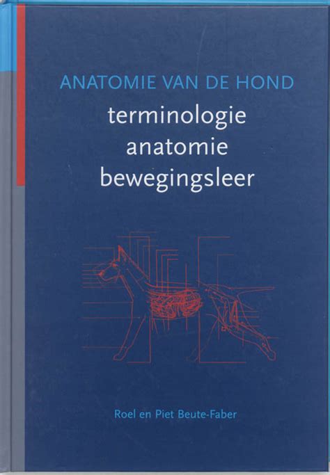 Anatomie Van De Hond P Beute Faber R Beute Faber Boek