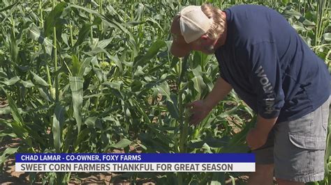 Sweet corn farmer talks about harvest season, supporting local | wzzm13.com