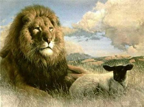 The Lion And The Sheep An Ancient Parable