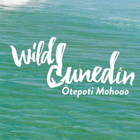 New Zealand Festival of Nature - You may not spy five in a row like